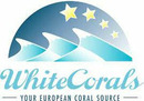 Logo Whitecorals Vertriebs GmbH in Korntal-Münchingen